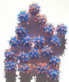1 8mm Round Blue & Orange Silicone Bead